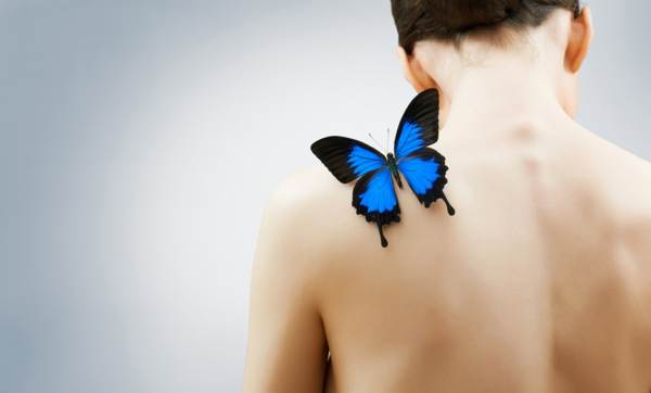 蝶が肩に座った 