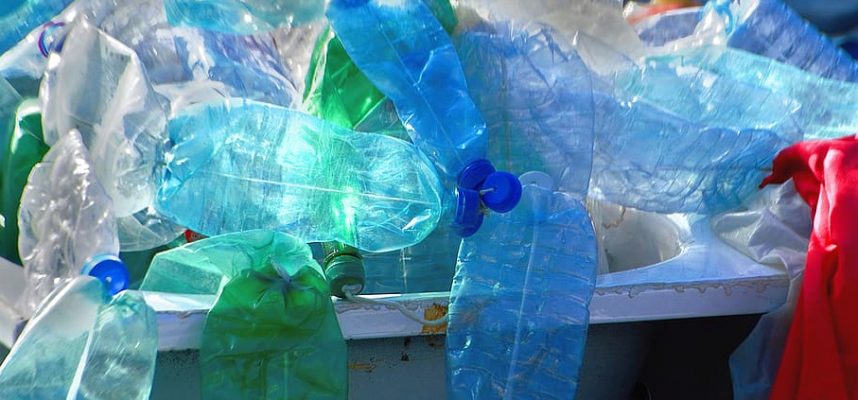細菌変異体はわずか数時間でプラスチック廃棄物を分解することができます 