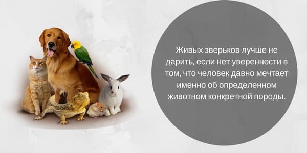 あなたの誕生日に何を与えるか 