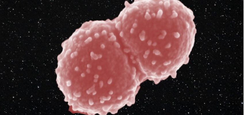 この細菌は宇宙ステーションの外に一年住んでいました。 