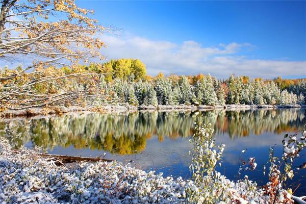 11月11日のサイン 