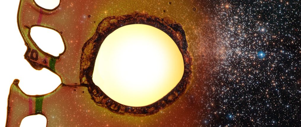 物理学者は時空を飲み込む不思議な「何もない泡」を研究します 