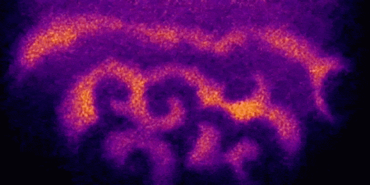 探検：人生は波から始まる 