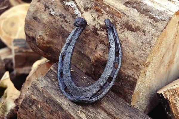 馬蹄形を見つけた 