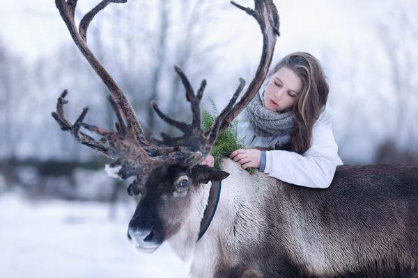 鹿はなぜ夢を見ているのですか 