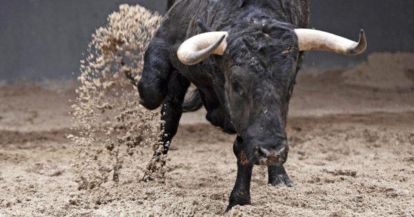 なぜ怒っている雄牛は夢を見るのですか 