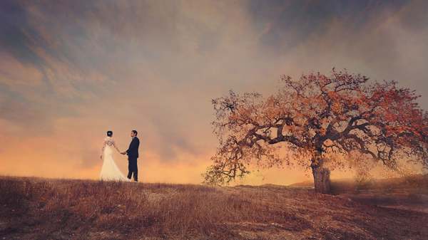 既婚女性のためのウェディングドレスで自分自身を見るための夢の本 