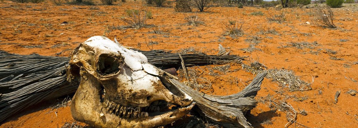 カナダの科学者：人類は700年以内に消滅します 