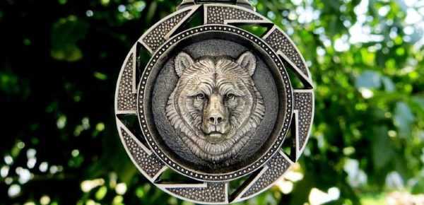 保護されたクマ 