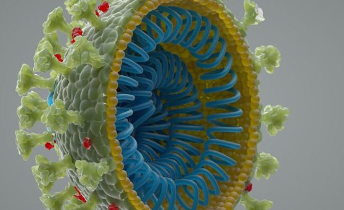 コロナウイルスは実験室で作成されたものではありません。  これが科学者の言うことです 