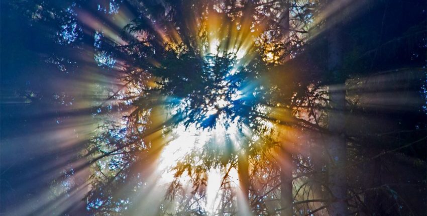 宇宙放射線は他の惑星の生命を支えることができます 