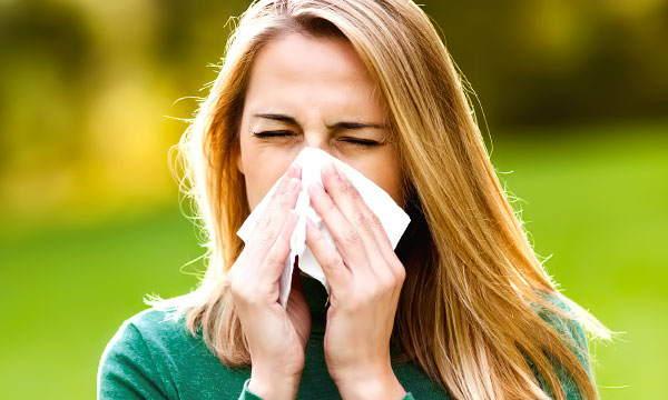 ニーザーが大好き 