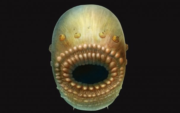 人々はこれから来ましたか？  -発見された生き物は科学者を驚かせました 