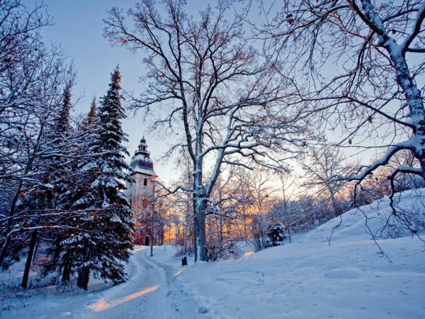12月11日の民俗標識 