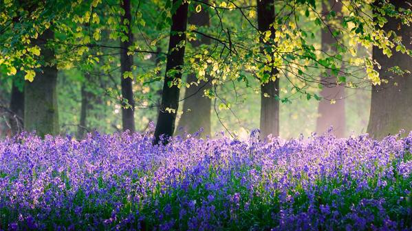5月1日のサイン 