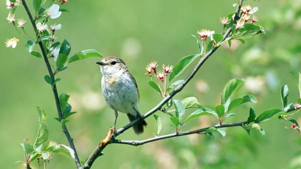 5月4日のサイン 