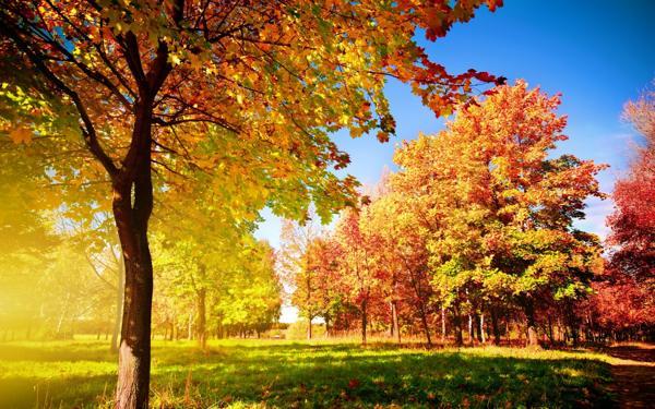 9月の毎日のサイン 