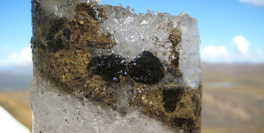 15、000年前の氷河でいくつかの古代ウイルスが発見されました 