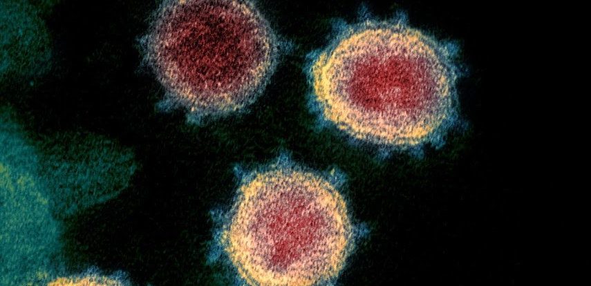 保健当局は、米国でのCOVID-19の普及を期待しています 