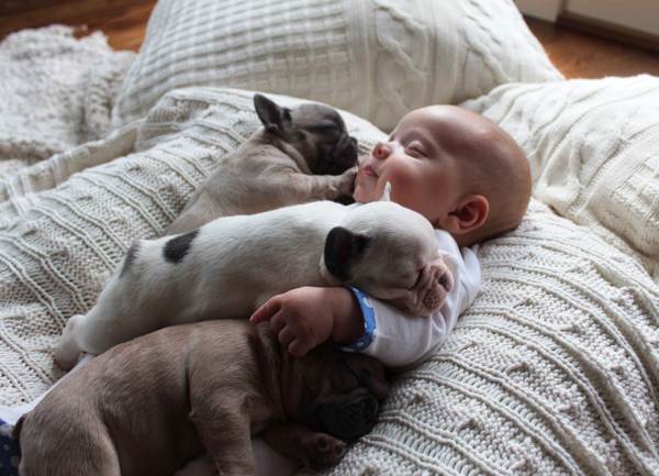 眠っている人をカメラで撮影できない理由 