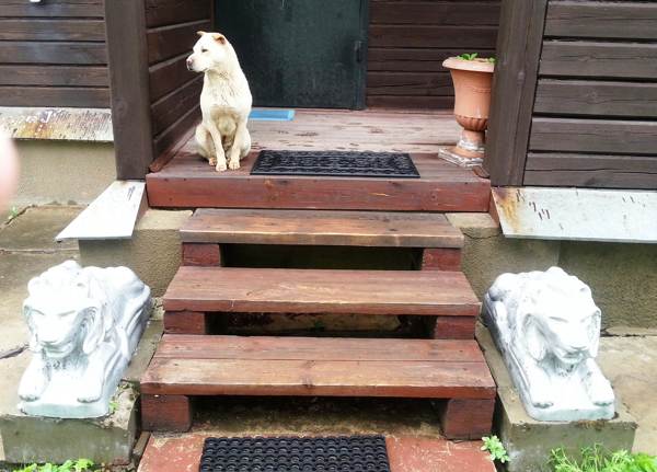 しきい値を超えてみませんか 