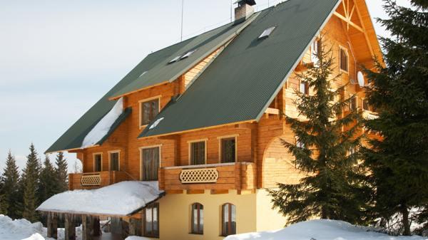 サイトに木を植えることができない理由 