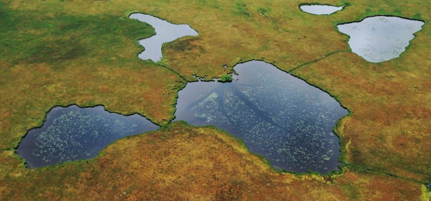 世界の気温が2°C上昇すると、2300億トンの炭素埋蔵量が増える可能性があります 