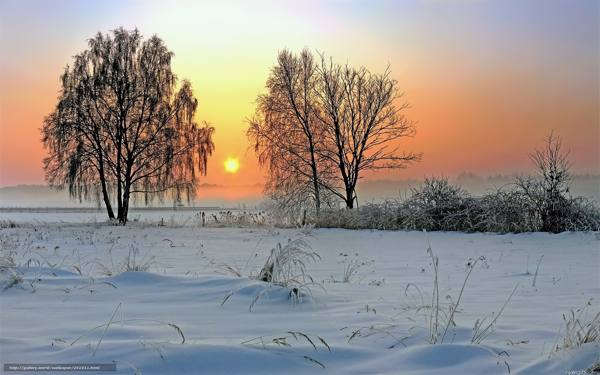 伝統と儀式12月3日 