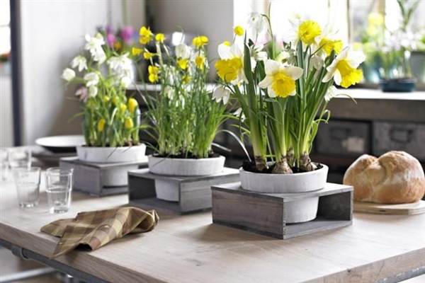 家の看板に保管できない花 