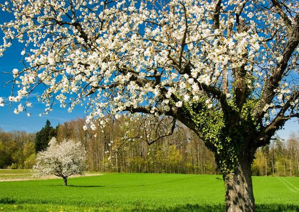 5月3日のサイン 