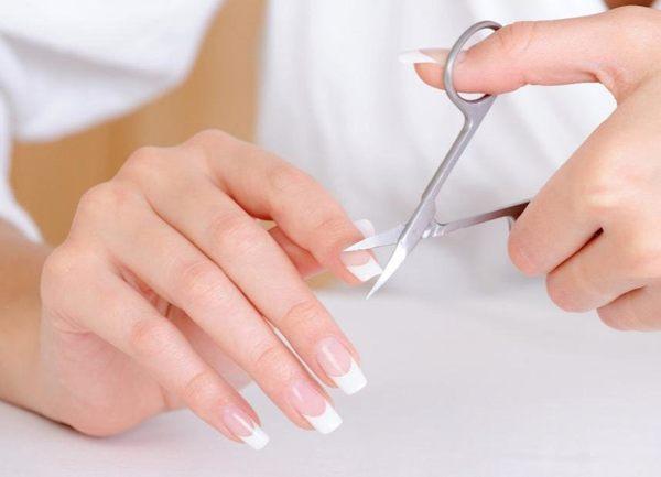 曜日別のネイルクリッピングに関する兆候 