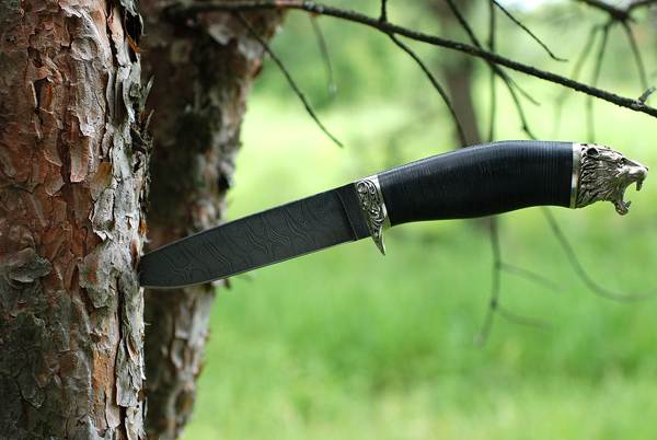 ナイフを与える 