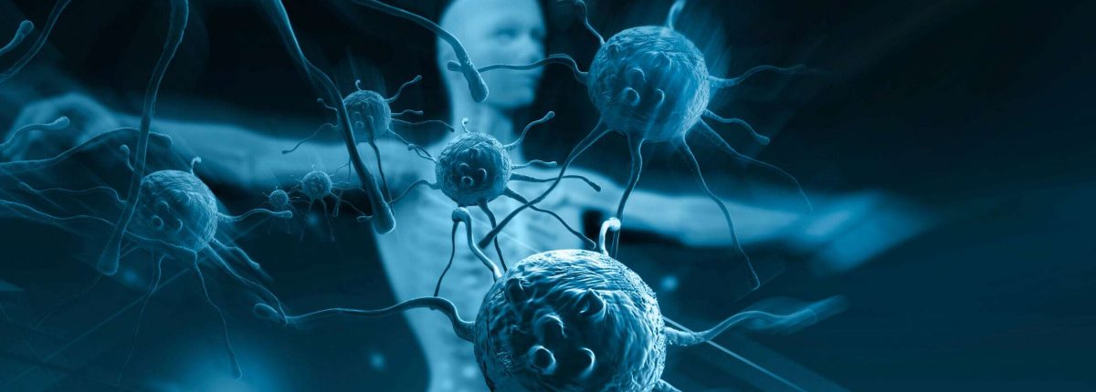 科学者たちは新しい進化の方法を発見しました 