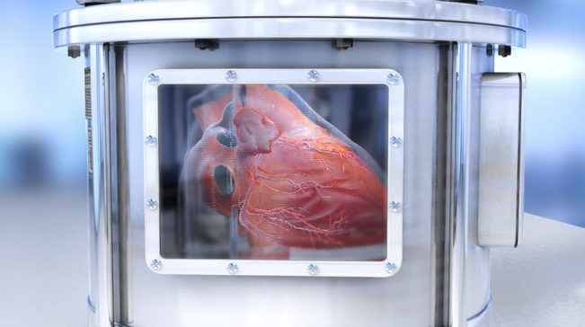 科学者は人間の臓器の機能するマイクロコピーを作成しました 