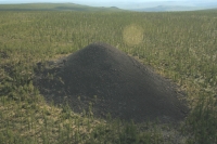 科学者たちは、いわゆる「死の谷」の謎を解き始めました 