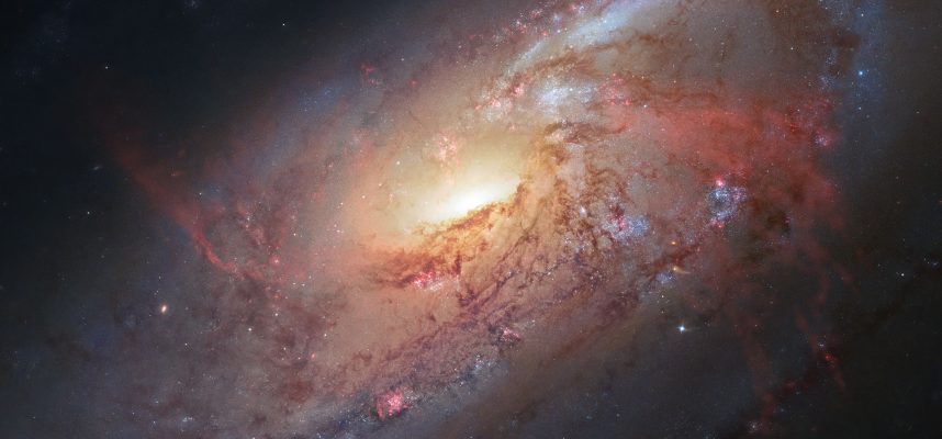 エイリアンの生命を探すための有名な方程式は、COVID-19の広がりを予測する新しい方法を定義します 